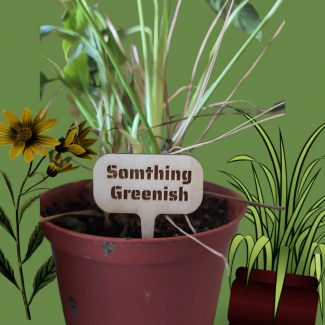 Sassy Sprouts – Quirky Wooden Plant Tags (Set of 15)