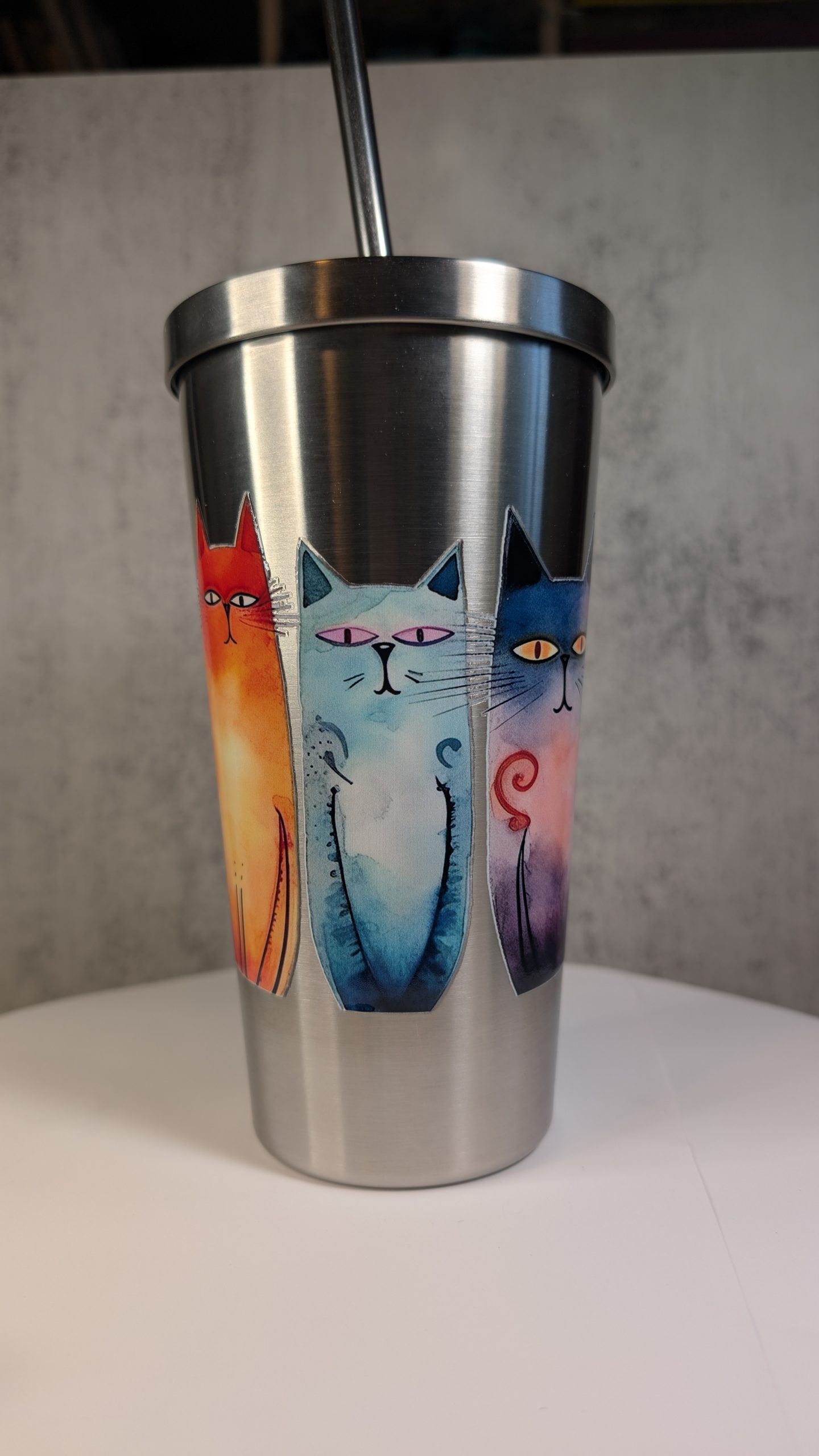 COLOR CATS STRAW (1)