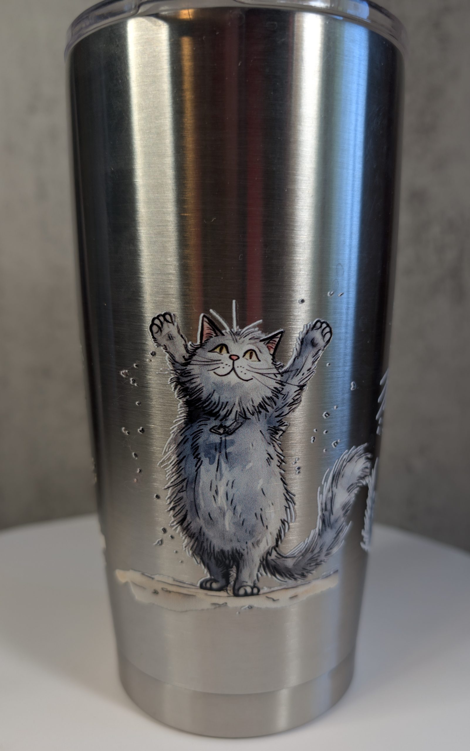 CRAZY CAT MUG (2)