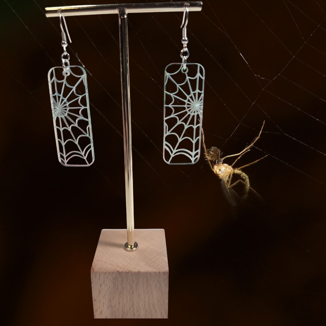 spiderwed clear acrylic Earrings (3)
